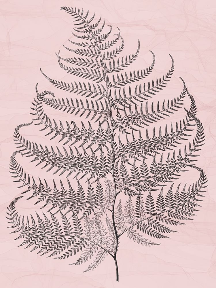 Plant art print by Jamie Phillip for $57.95 CAD