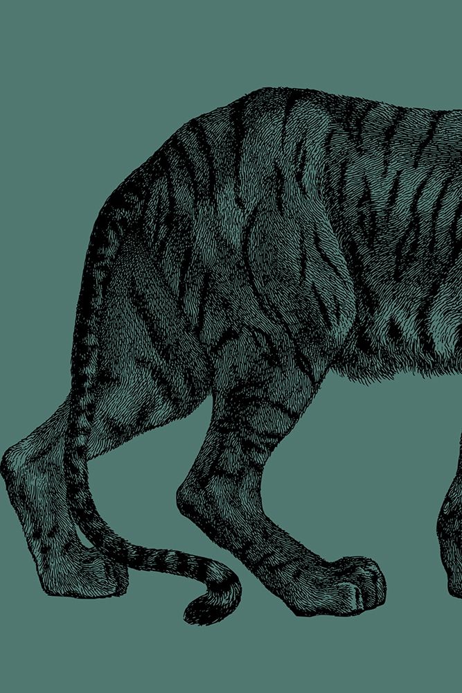 Big Cat 1 art print by Jamie Phillip for $57.95 CAD