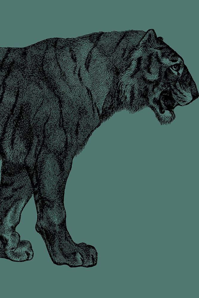 Big Cat 2 art print by Jamie Phillip for $57.95 CAD