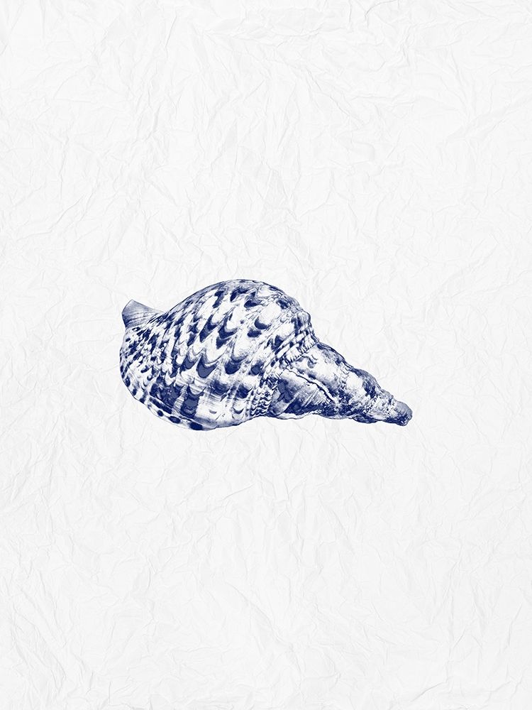 Indigo Shell 1 art print by Jamie Phillip for $57.95 CAD