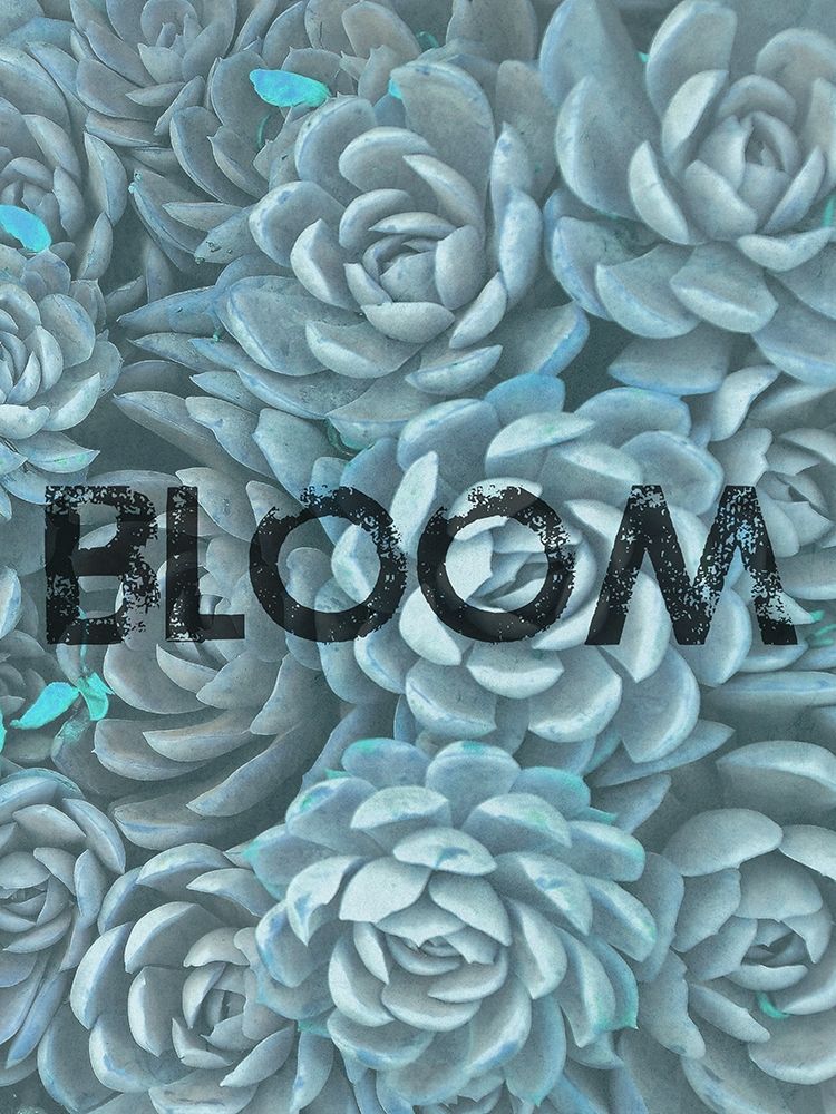 Bloom art print by Jamie Phillip for $57.95 CAD