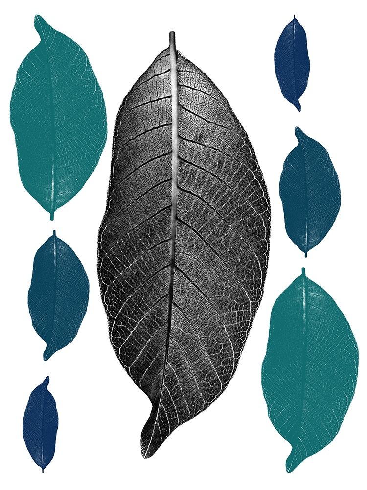 Multi Colored art print by Jamie Phillip for $57.95 CAD
