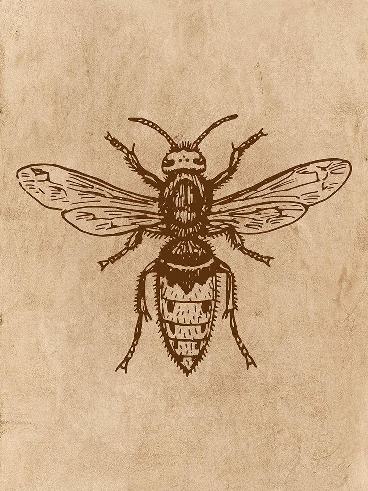 Specimen 1 art print by Jamie Phillip for $57.95 CAD