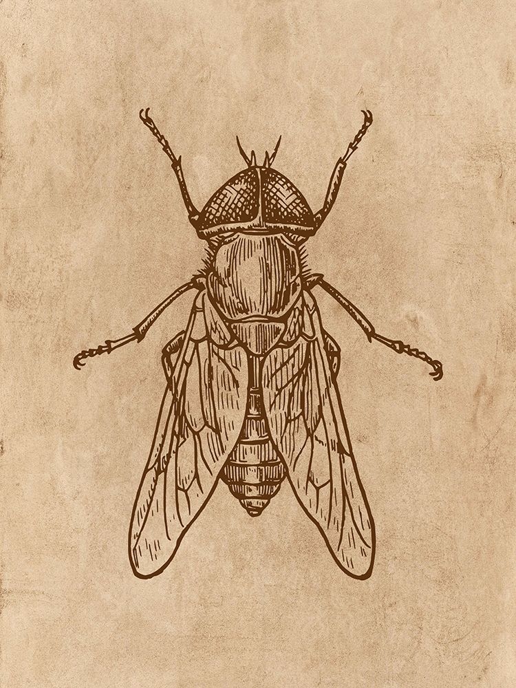 Specimen 2 art print by Jamie Phillip for $57.95 CAD