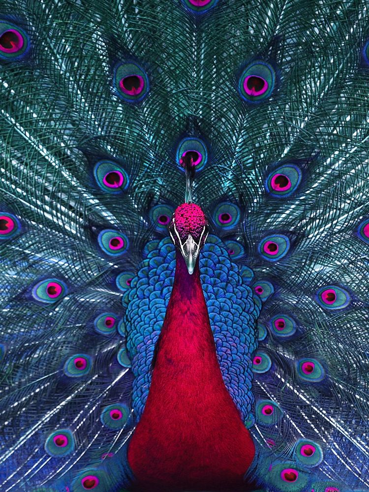 Pcolors art print by Jamie Phillip for $57.95 CAD