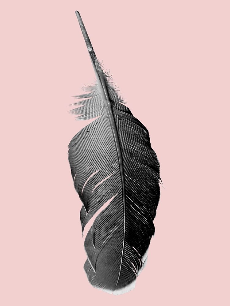 Pink Flight art print by Jamie Phillip for $57.95 CAD