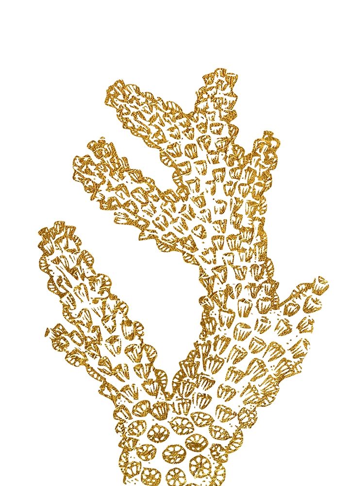 Coral Reef art print by Jamie Phillip for $57.95 CAD