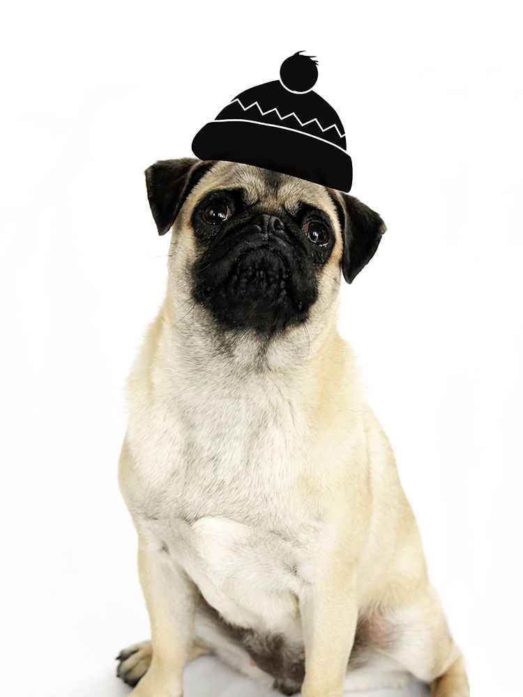 Cute Dog art print by Jamie Phillip for $57.95 CAD