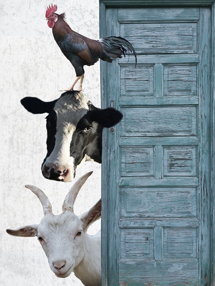 Happy Farm 1 art print by Jamie Phillip for $57.95 CAD