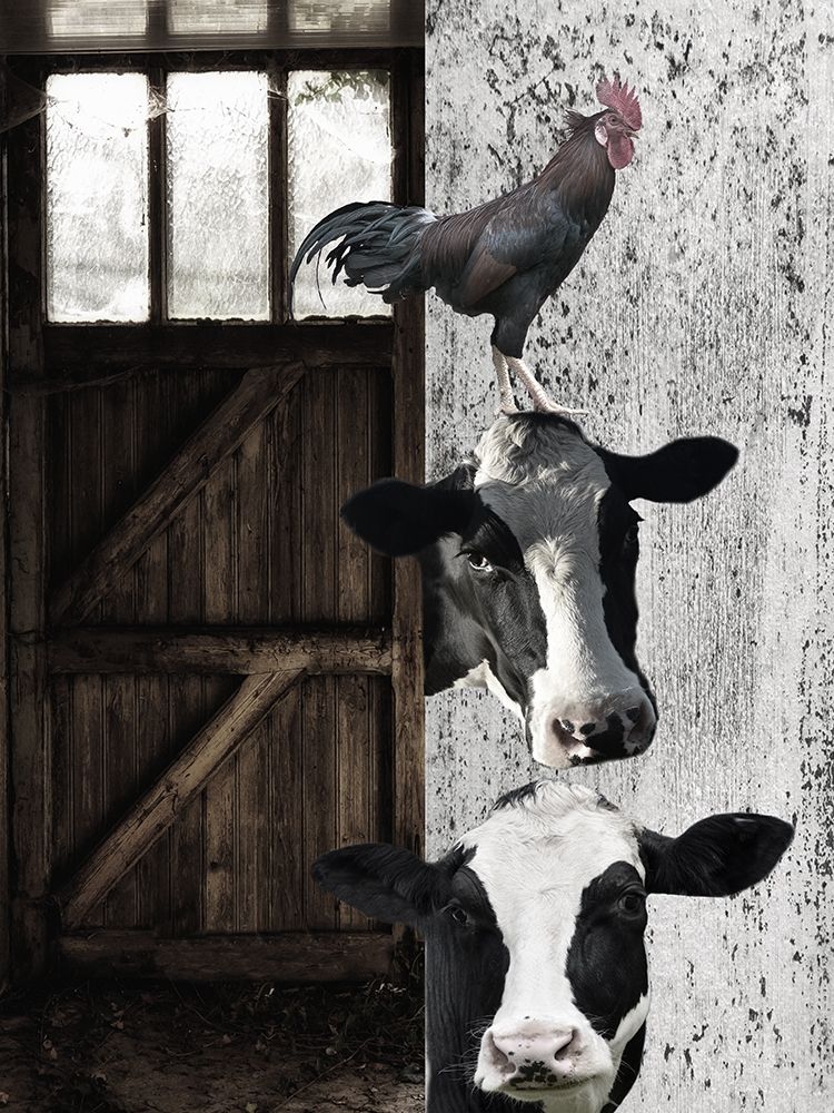 Happy Farm art print by Jamie Phillip for $57.95 CAD