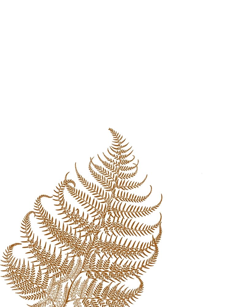 Gold Fern 3 art print by Jamie Phillip for $57.95 CAD
