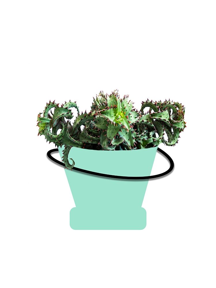 Grow art print by Jamie Phillip for $57.95 CAD
