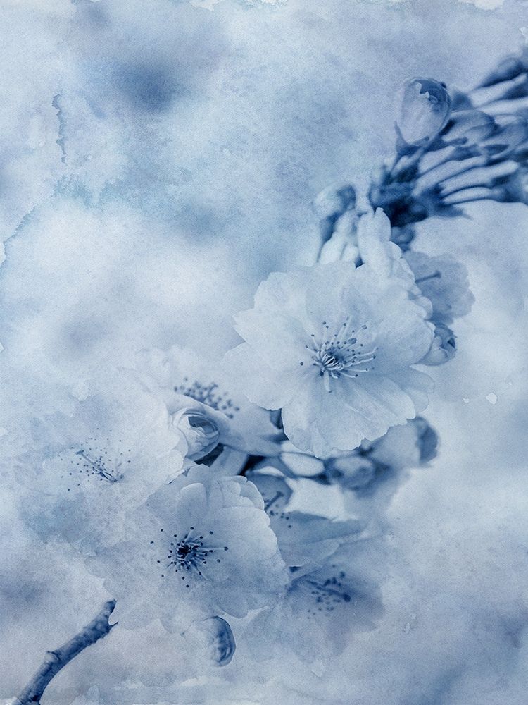 Blue Watercolor Flower art print by Jamie Phillip for $57.95 CAD