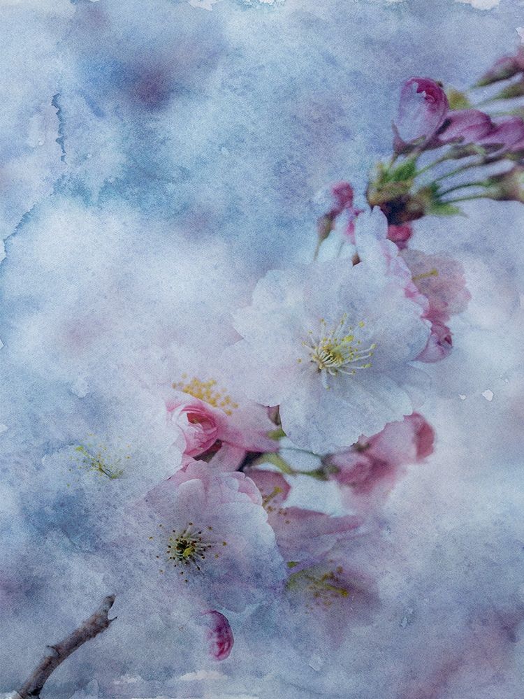 BLue Watercolor Flower 2 art print by Jamie Phillip for $57.95 CAD