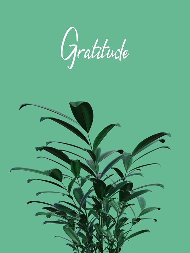 Gratitude art print by Jamie Phillip for $57.95 CAD