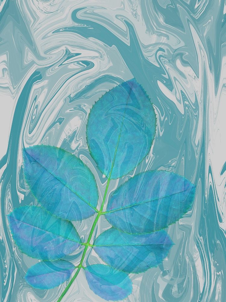 Flower art print by Jamie Phillip for $57.95 CAD