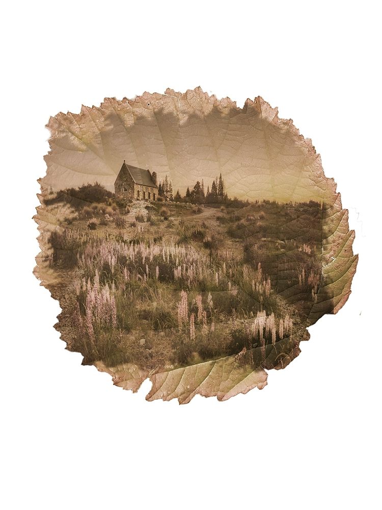 Cottage Leaf art print by Jamie Phillip for $57.95 CAD