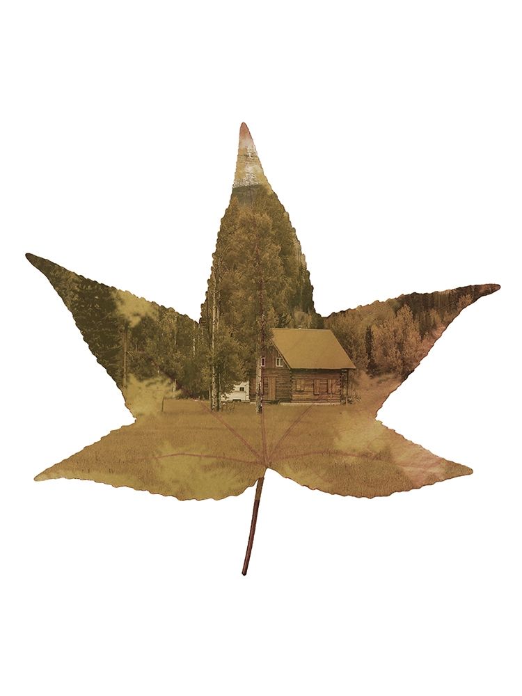 Cottage Leaf 2 art print by Jamie Phillip for $57.95 CAD