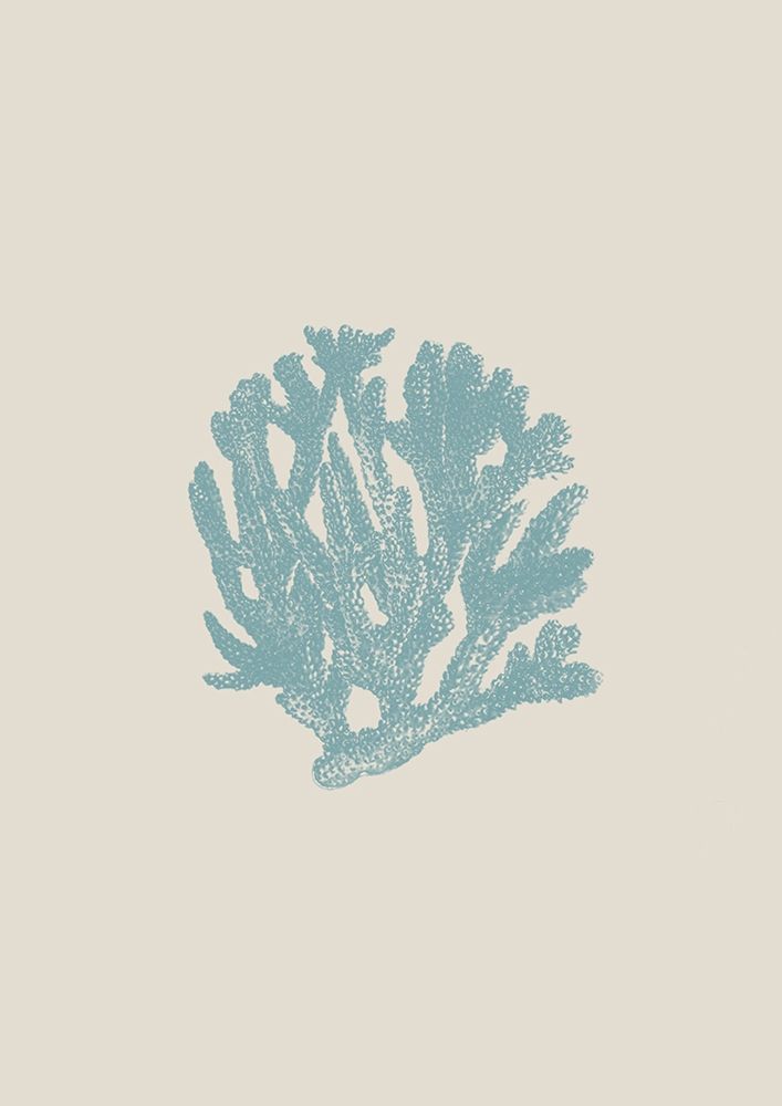 Coral art print by Jamie Phillip for $57.95 CAD