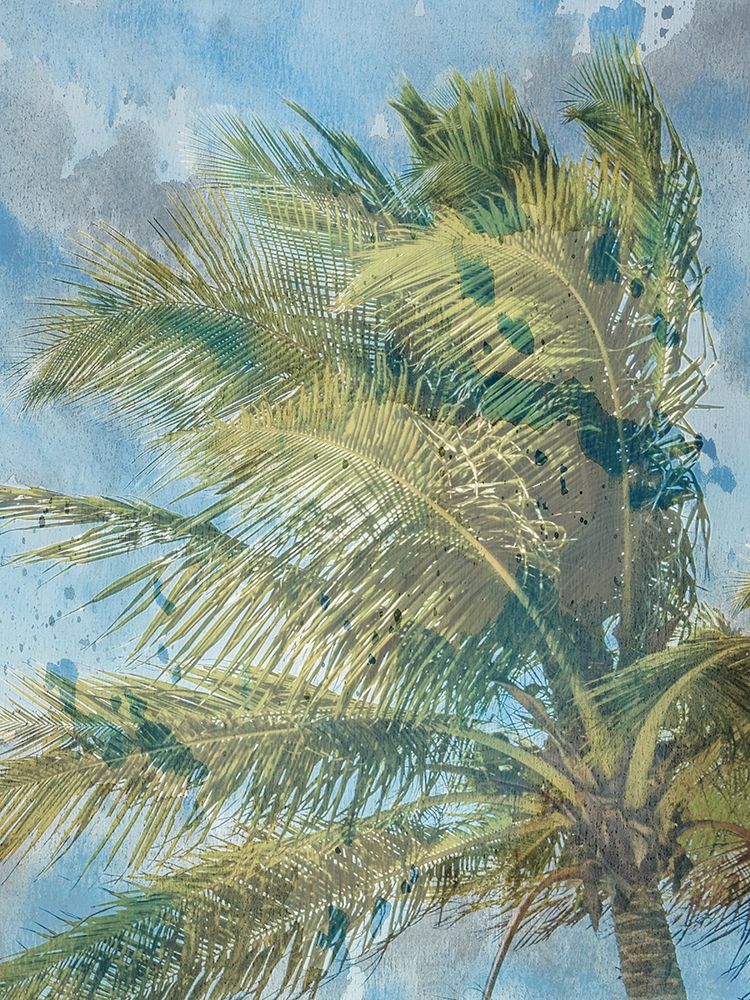 Palm  Tree art print by Jamie Phillip for $57.95 CAD
