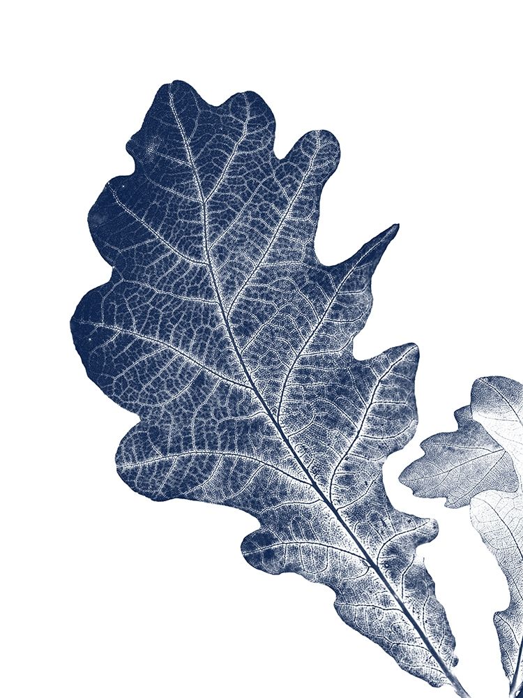 True Blue art print by Jamie Phillip for $57.95 CAD