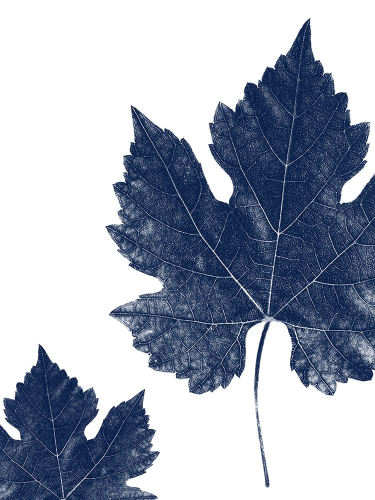 True Blue 2 art print by Jamie Phillip for $57.95 CAD