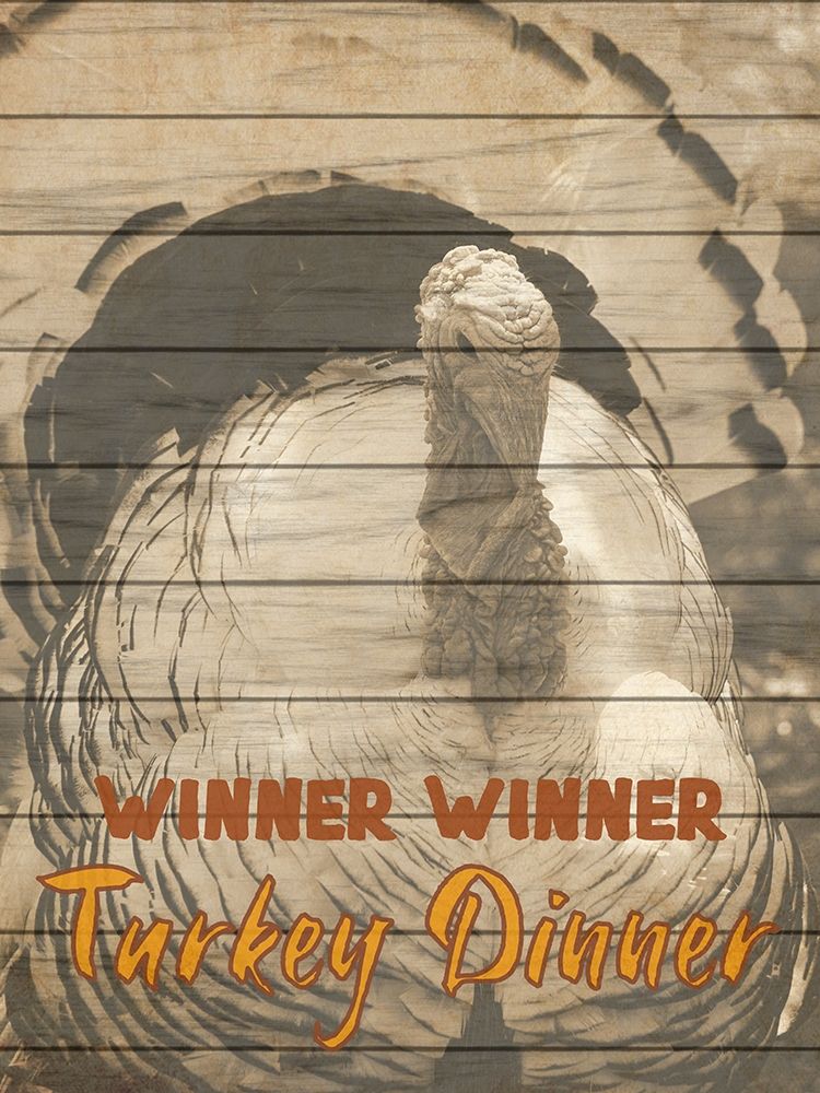 Turkey Dinner art print by Jamie Phillip for $57.95 CAD