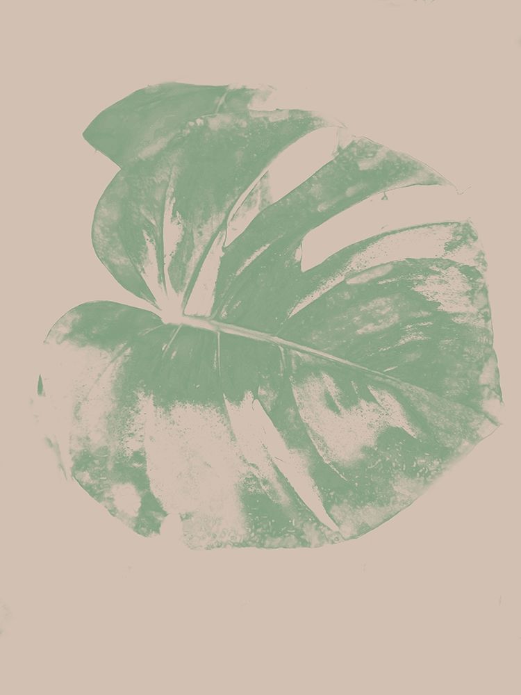 Marquis Palm 2 art print by Jamie Phillip for $57.95 CAD