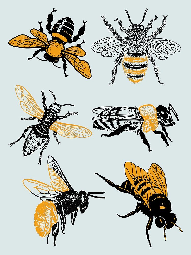 Bees art print by Jamie Phillip for $57.95 CAD
