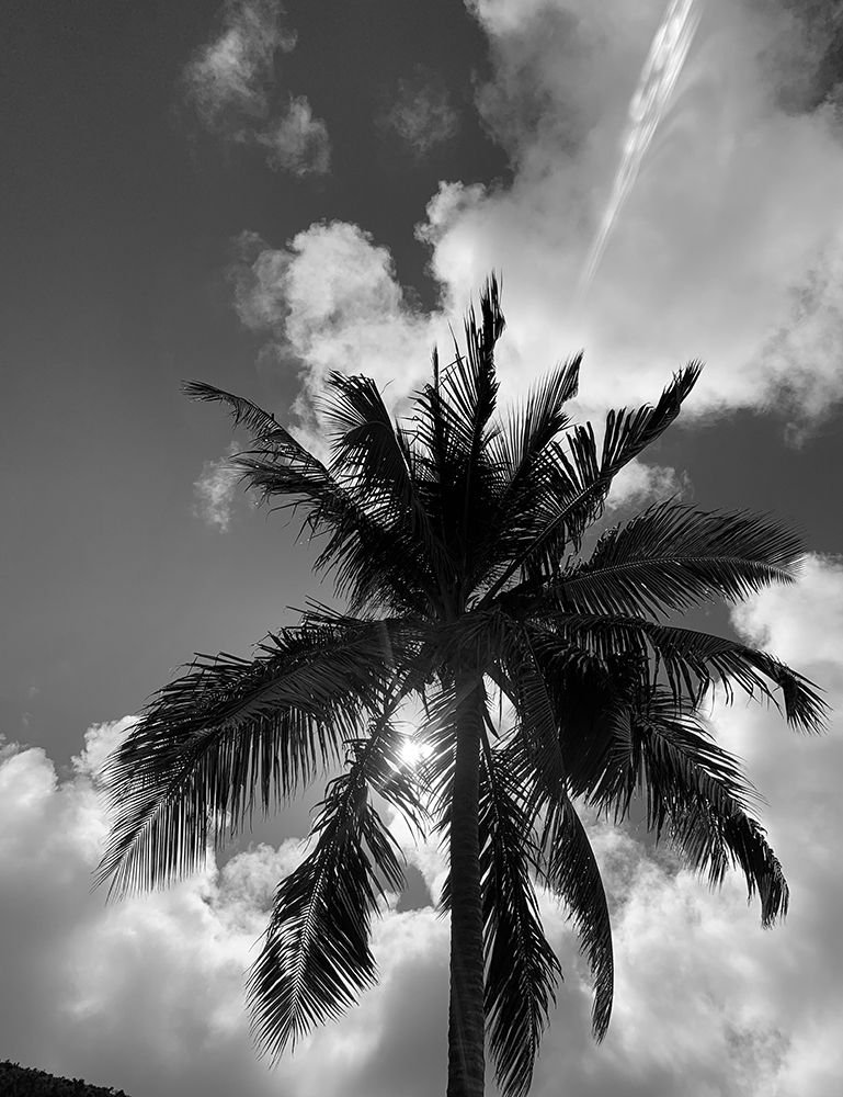 BVI 4 art print by Jamie Phillip for $57.95 CAD