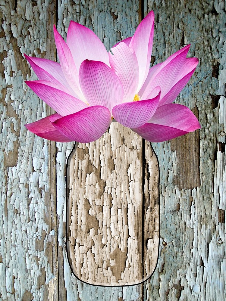 Potted Plant art print by Jamie Phillip for $57.95 CAD