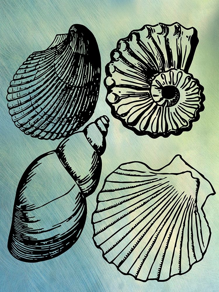 Bath Shells art print by Jamie Phillip for $57.95 CAD