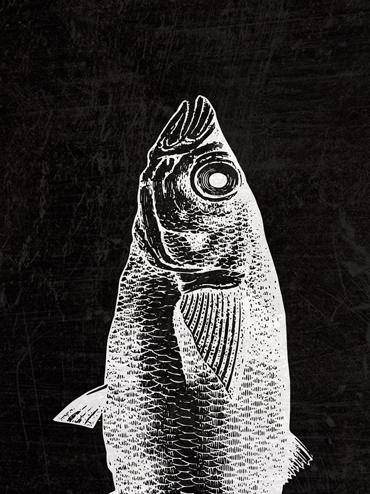 Black Fin art print by Jamie Phillip for $57.95 CAD