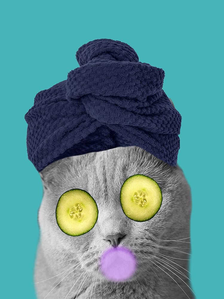 Bubble  Bath Cat art print by Jamie Phillip for $57.95 CAD
