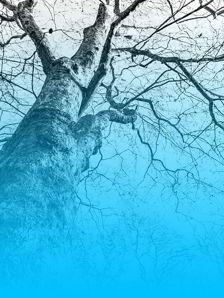 Blue Sky art print by Jamie Phillip for $57.95 CAD