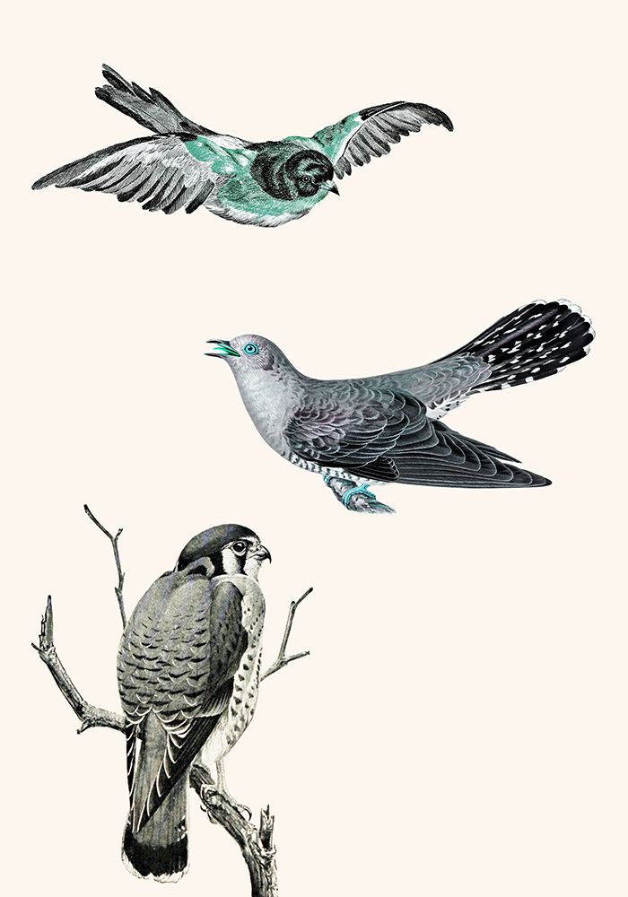 Birds 1 art print by Jamie Phillip for $57.95 CAD