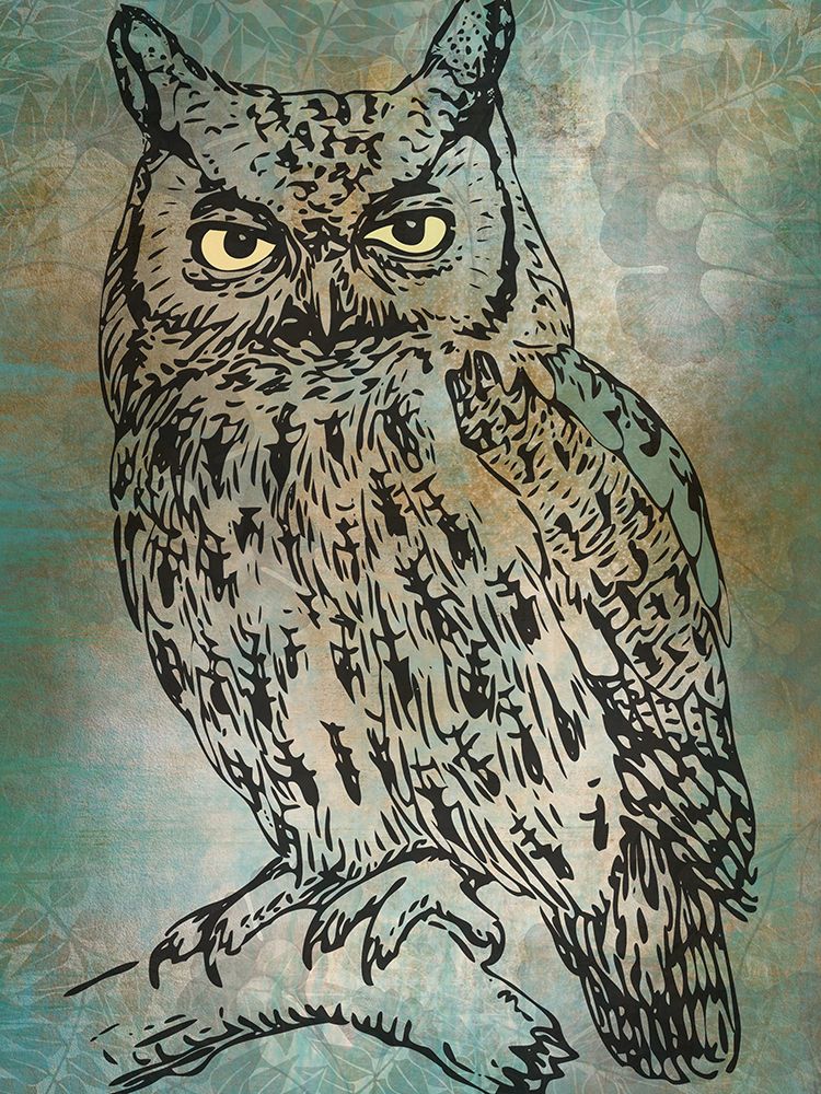 Mr. Owl art print by Jamie Phillip for $57.95 CAD