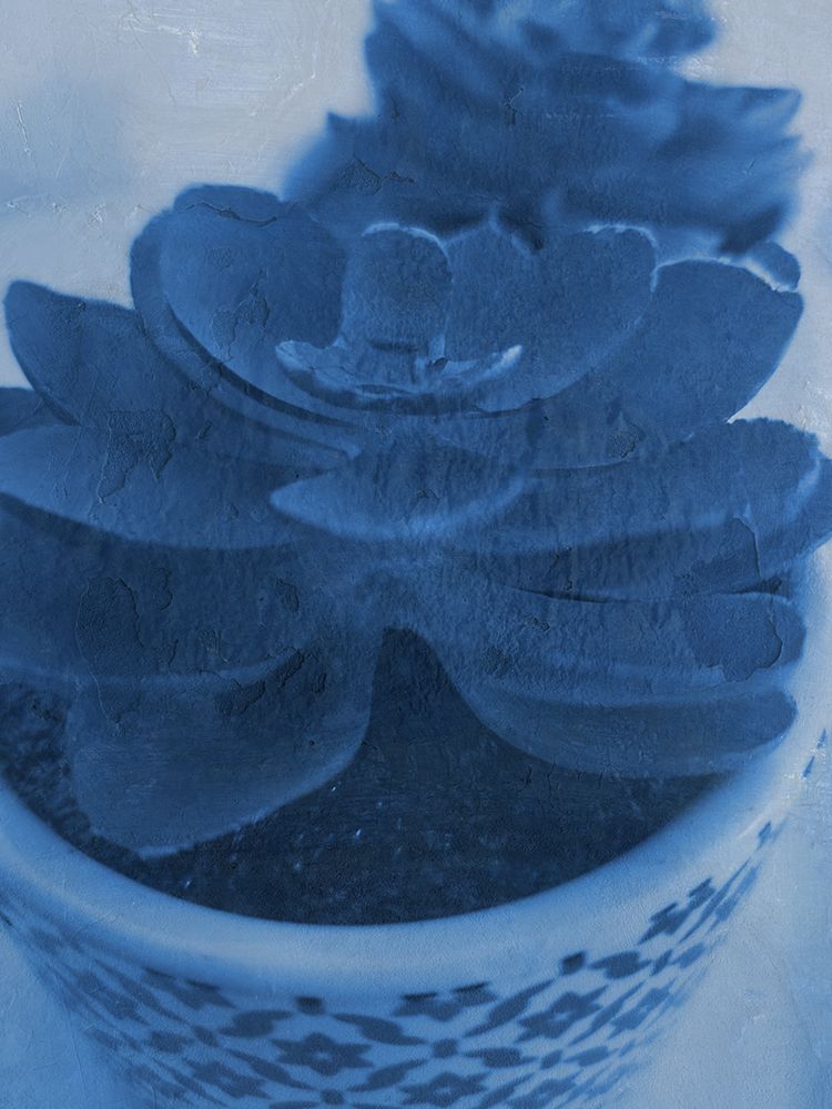 Succulent Plant 1 art print by Jamie Phillip for $57.95 CAD