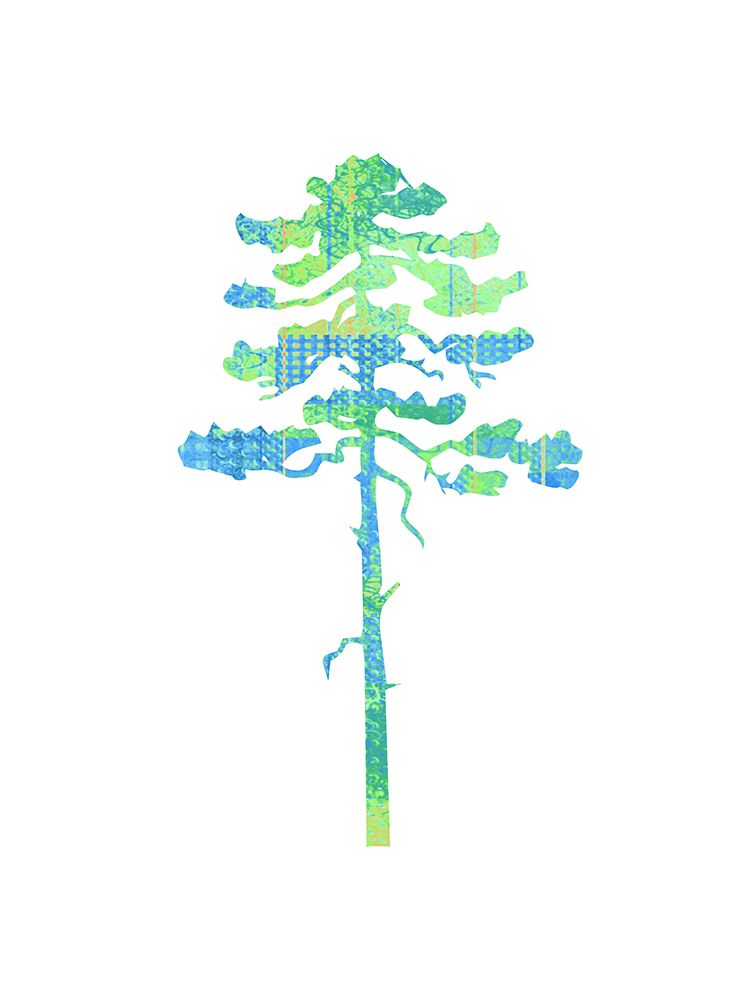 Sprung 4 art print by Jamie Phillip for $57.95 CAD