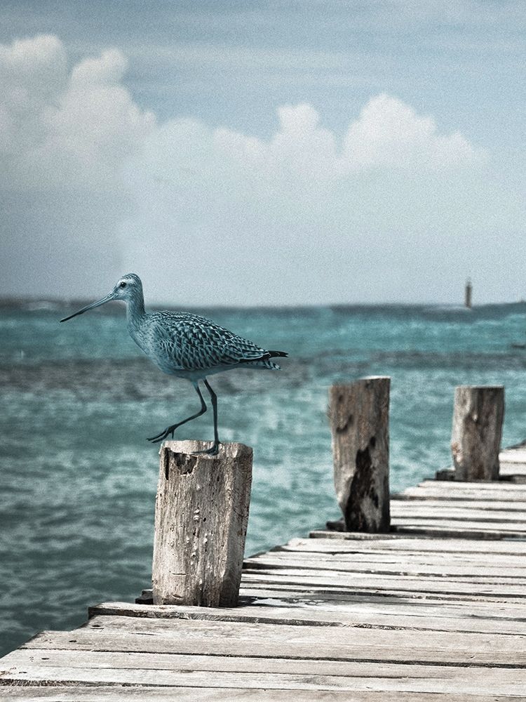 Jetty art print by Jamie Phillip for $57.95 CAD