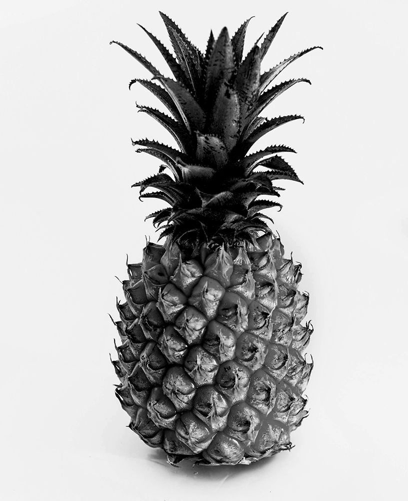 Aloha 3 art print by Jamie Phillip for $57.95 CAD