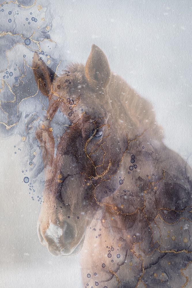 Mystic Horse art print by Jamie Phillip for $57.95 CAD