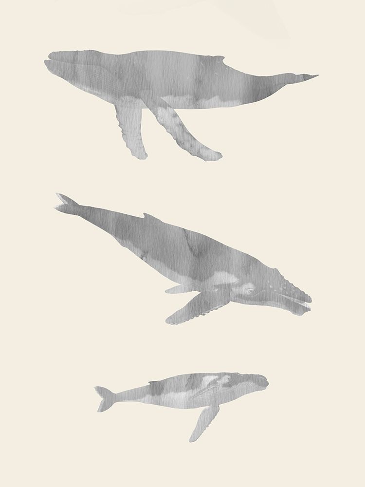 Whale Trio art print by Jamie Phillip for $57.95 CAD