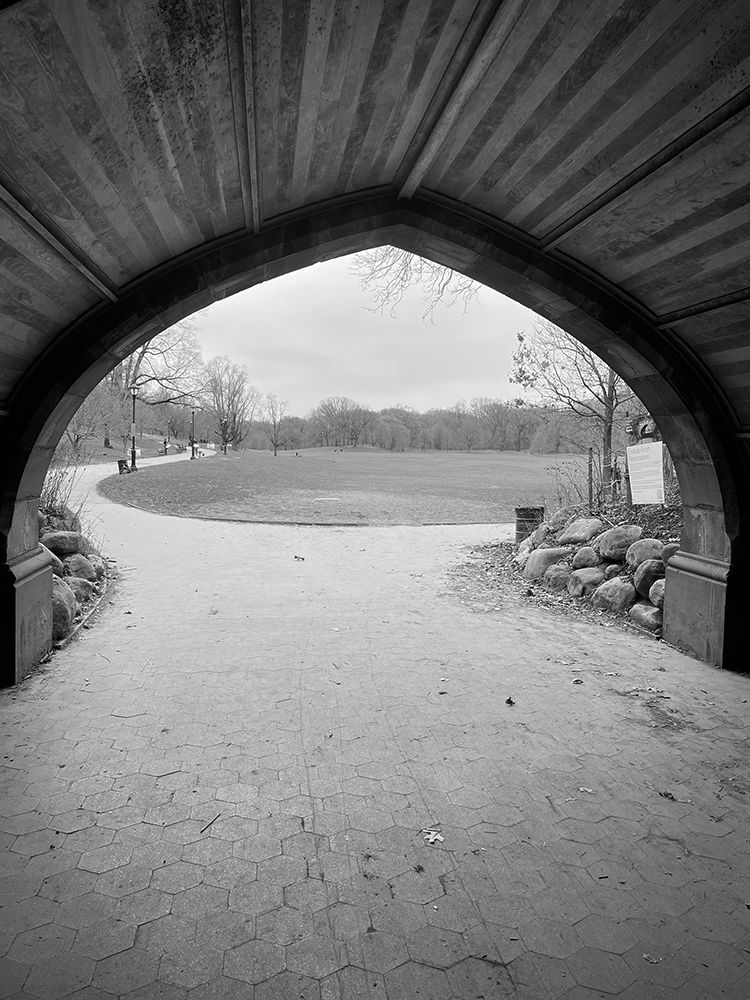 Tunnel Black art print by Jamie Phillip for $57.95 CAD