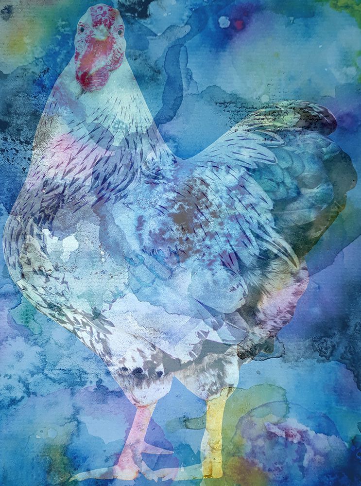 Rooster art print by Jamie Phillip for $57.95 CAD