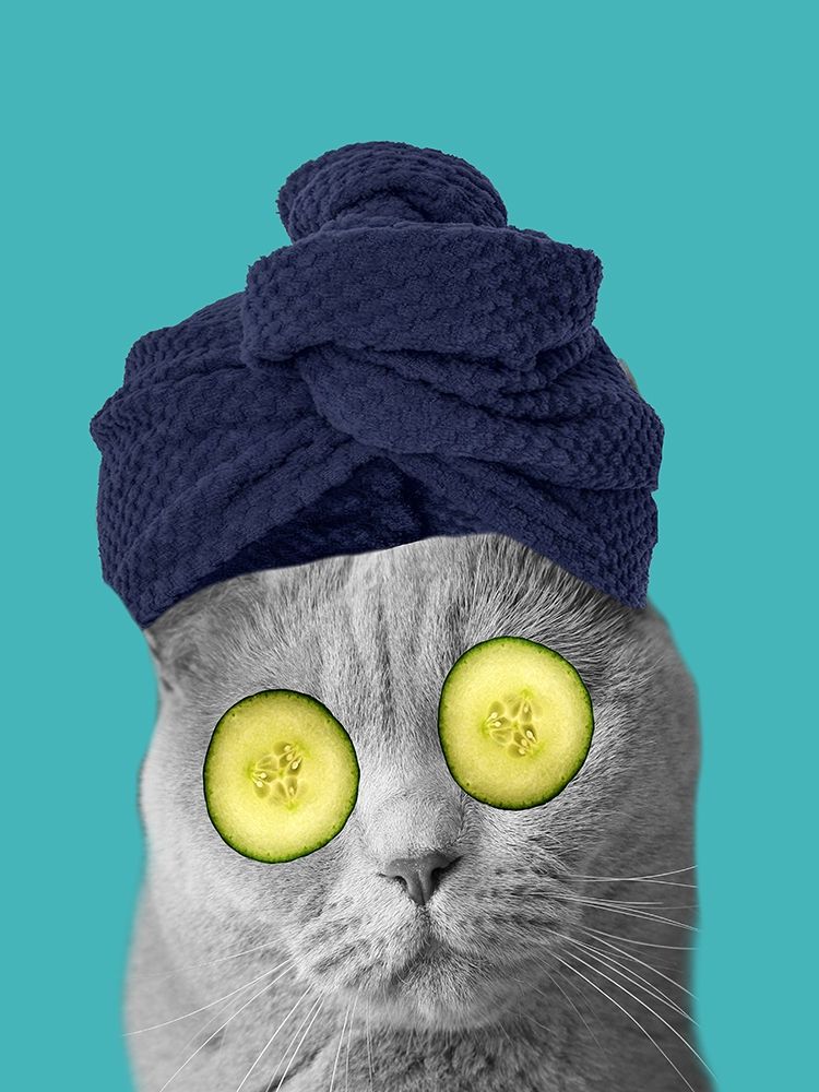 Spa Cat 3 art print by Jamie Phillip for $57.95 CAD