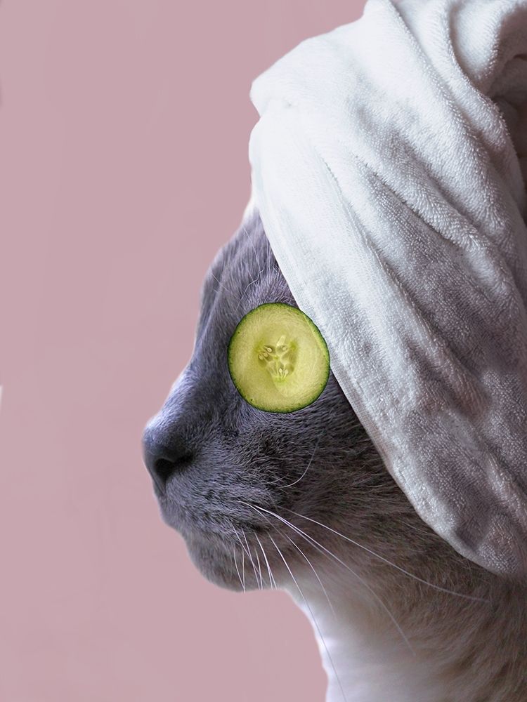 Spa Cat art print by Jamie Phillip for $57.95 CAD