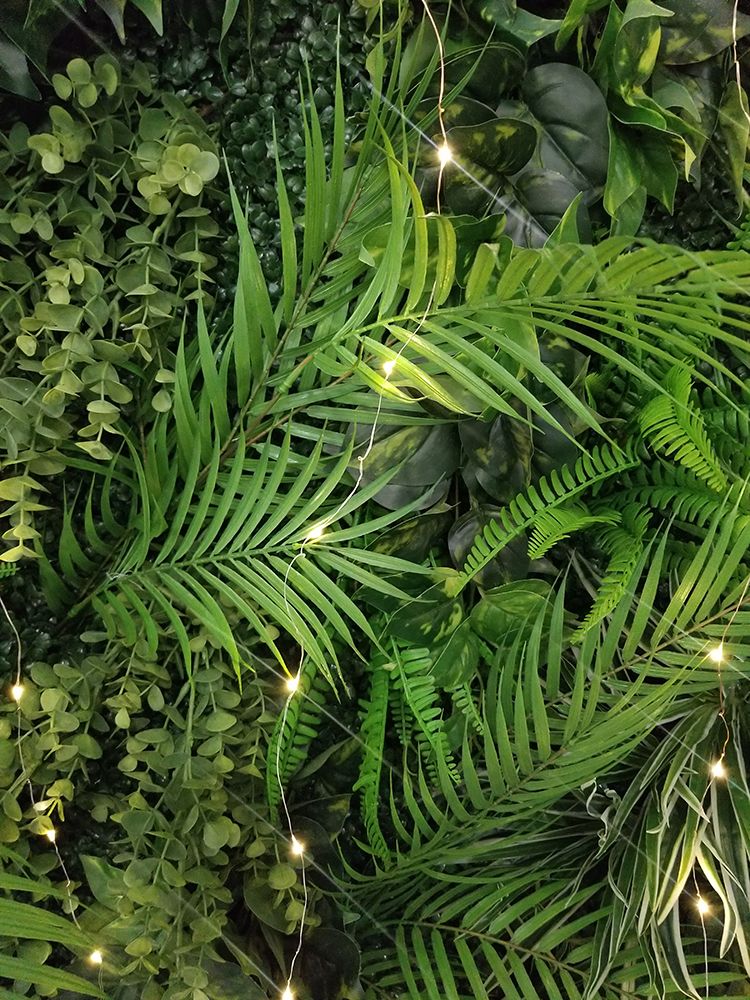 Greenery art print by Jamie Phillip for $57.95 CAD
