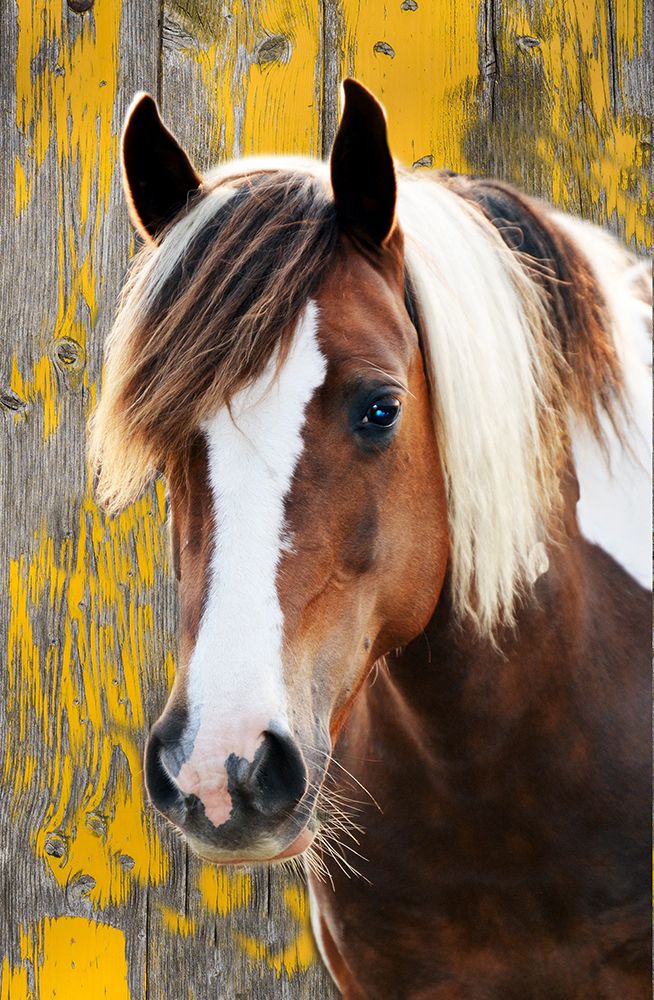 Yellow Stone Rancher art print by Jamie Phillip for $57.95 CAD