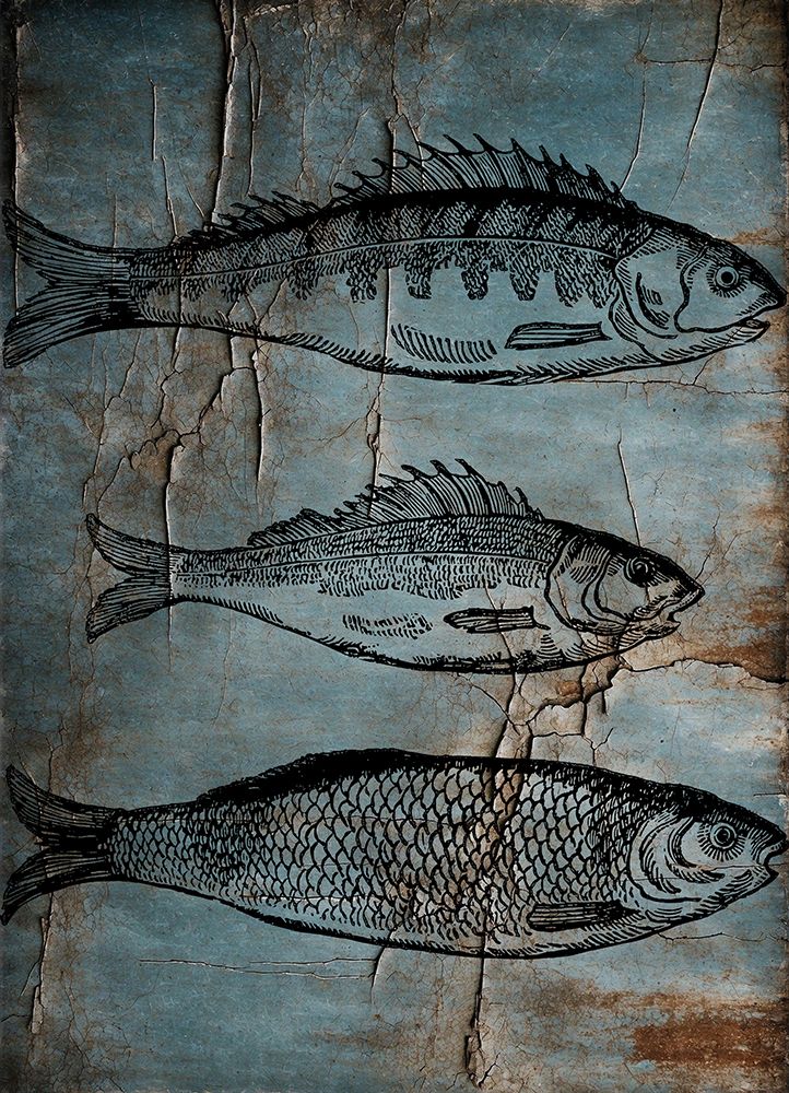 Old Fish Market art print by Jamie Phillip for $57.95 CAD